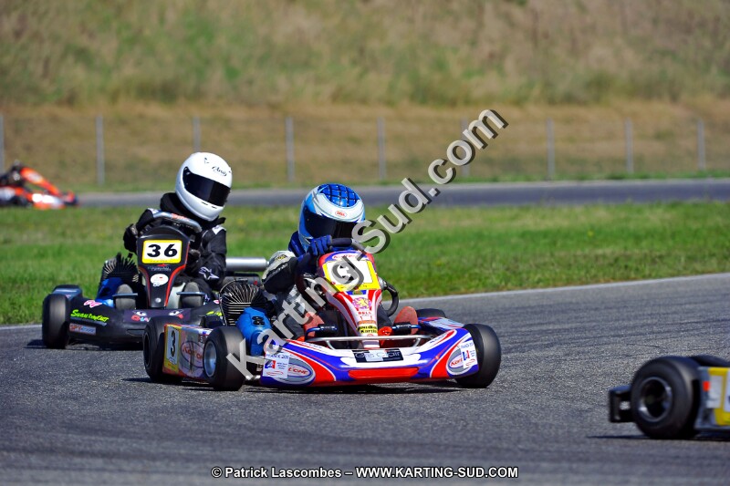 DSC_ (1322).jpg